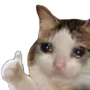 catthumb4sad Discord Emoji