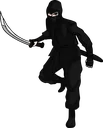 22ninjapngpic