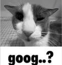 goog_suspicious