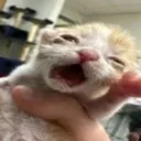 AAAUUUUGGGHHH