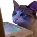 WatchingStream