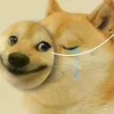 dogeHINDINGPAIN
