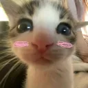Hehe Hehe