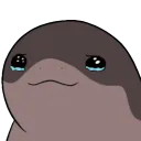 ClodsireTears