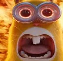 minionbunny