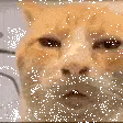 huhwtf huhwtf