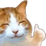 catThumbsup2