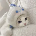 sunsi_irl