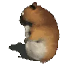 hamsterpillow