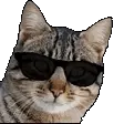 catcool