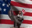 MURICA