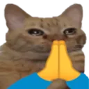 Catprayge