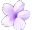 NPz_PurpleMFlower