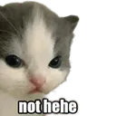 Not Hehe nothehe Discord Emoji