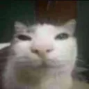 grug