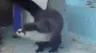 otterpls otterpls