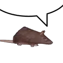rat_speak