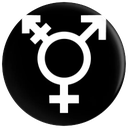 GenderTrans Discord emoji