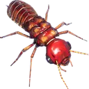 termiteking