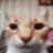 MBR_HonestReaction Discord emoji