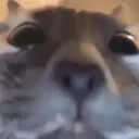 que