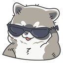 :racccool: