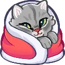 Catcomf Discord Emoji