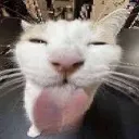 blehhhhh