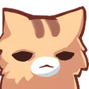 cat_disappointed