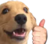 ThumbsUp
