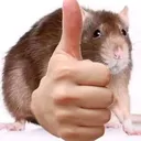 __