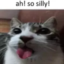 silly