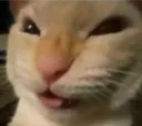 hehe Discord Emoji