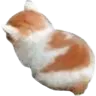 sadcat sadcat