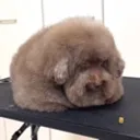 creature_sleep creature_sleep