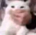 Shh