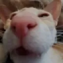123 123