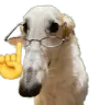 nerdzoi