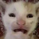 cri cri