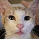 weirdo