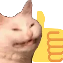 echthumbsup