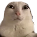 reginald