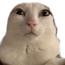 reginald
