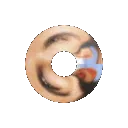 sexydonut