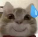 catsweat