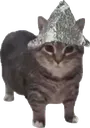 ConspiracyCat