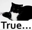 uni_TRUE