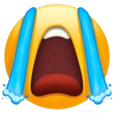 sob_cry_tears Discord Emoji