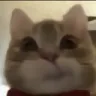 oopie