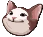catsmile